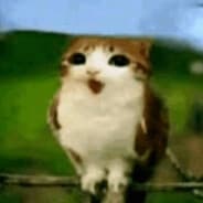 hhihihHA