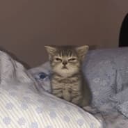 zzzzzzzzzz