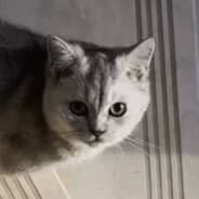 SIRIU