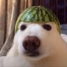 joon