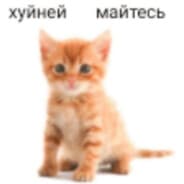 snx