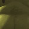 Le trou de Shrek