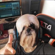 Kojack
