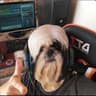Kojack