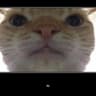 Casper