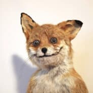 Foxworthey