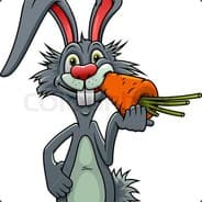 funny rabbit