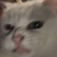 Droedlet