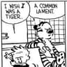 benevolent jamon