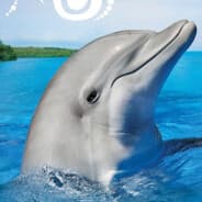 Flipper