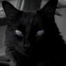 yoru