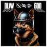 DliwGod