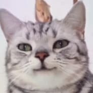 iix666