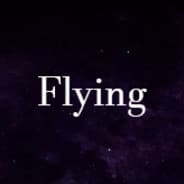 FlyingPig58