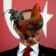 Erdohahn