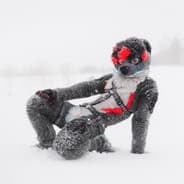 WulfOoter