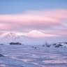 Winterian