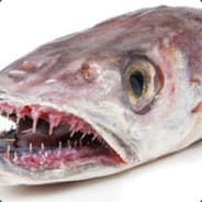 Ber