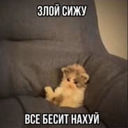 Grifonsky