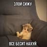 Grifonsky