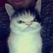 Smoke Weed Eat Pussy Everyday