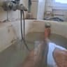 trevi