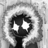 watcher