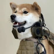 ZywUu