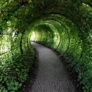 NaVi|Garden