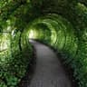 NaVi|Garden