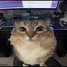 Rupertgamingboy
