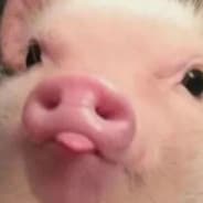 qqseka