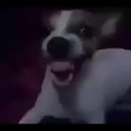 Vale