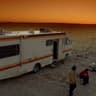 pink toolip