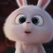 Bunny