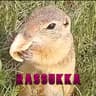 R4SSUKK4