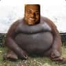 Jamal