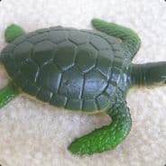 pogapog