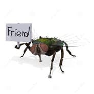 Flyfriend28