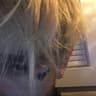 yulia finess mindset