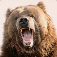 A Vac Bear
