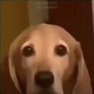ø