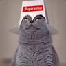 Supreme Cat