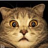 Nurgul_ADD