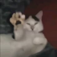 SirPadla