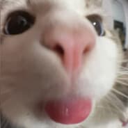 TTecnk