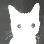 ozi