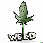 Stoner Central