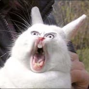 Thumper