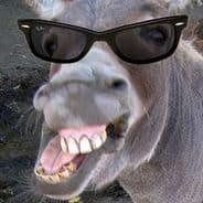 HyperDonkey